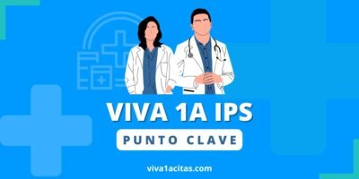viva 1a punto clave