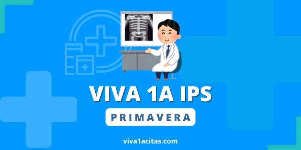 viva 1a ips primavera
